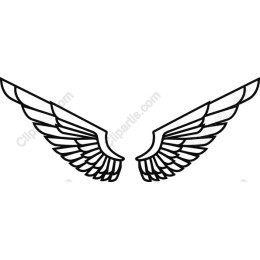Elegant Wings