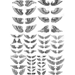 Angel Wings Bundle