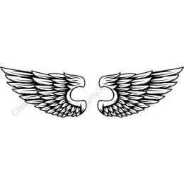 Elegant Wing