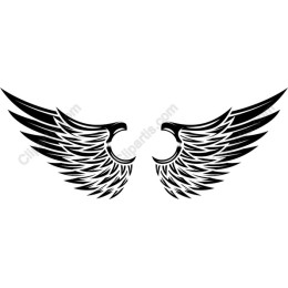 Elegant Angel Wings