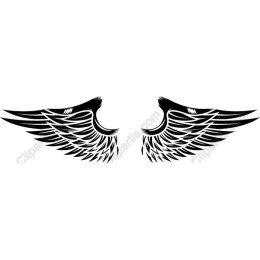 Elegant Wings