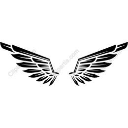 Dynamic Wing