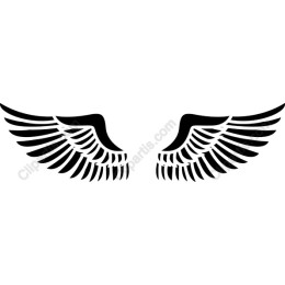 Elegant Angel Wings