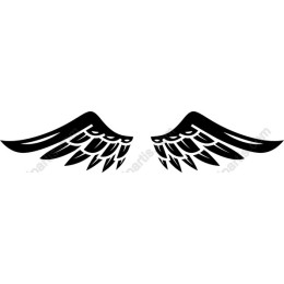 Elegant Wing