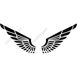 Elegant Wing