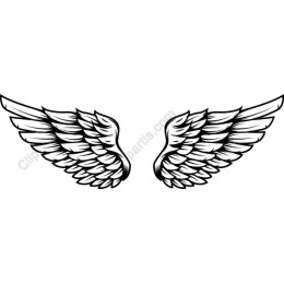 Angelic Wings