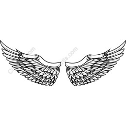 Intricate Angel Wings