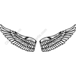 Angel Wings