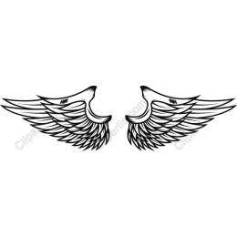 Artistic Wing