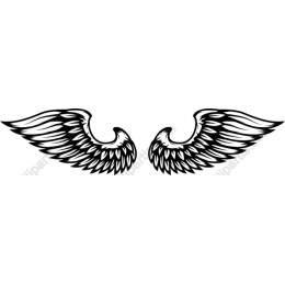Elegant Angel Wings