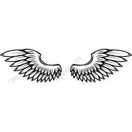 Stylized Wing