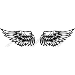 Angel Wings