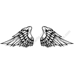 Elegant Angel Wings