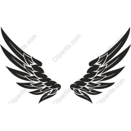 Elegant Wings