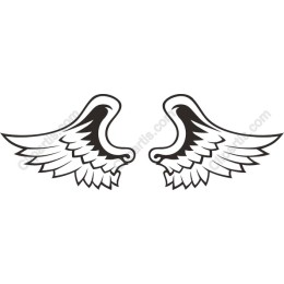 Wings - Elegant Feather