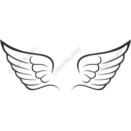 Elegant Wing