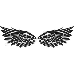 Elegant Wing