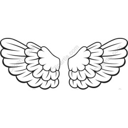 Elegant Angel Wings