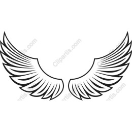 Intricate Wings