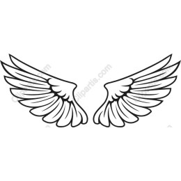 Angel Wings