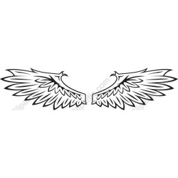 Intricate Wing