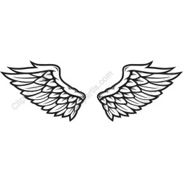 Elegant Angel Wings