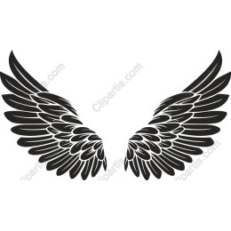 Black Feathered Wings