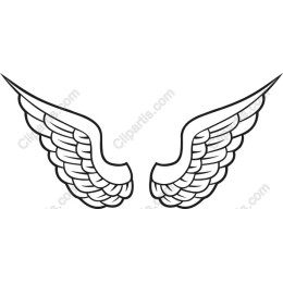 Elegant Wing