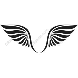 Black Wings