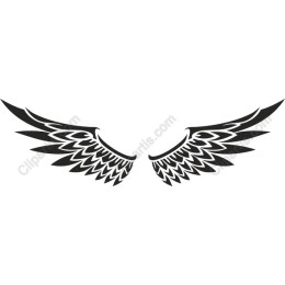 Intricate Wing