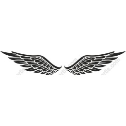 Elegant Wing