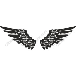 Black Wings