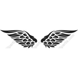 Elegant Angel Wings