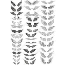 Wings Set - 20 Unique