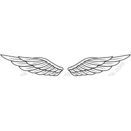 Stunning Elegant Wings