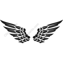 Elegant Black Wings
