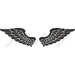Elegant Wing