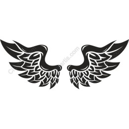 Elegant Wing