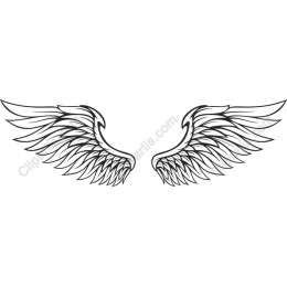 Elegant Angel Wings