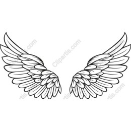 Elegant Angel Wings