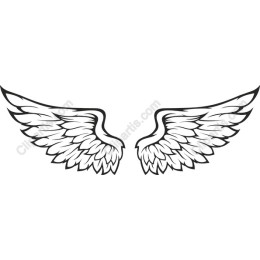 Elegant Angel Wings