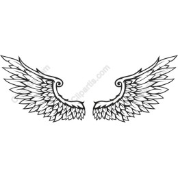 Elegant Angel Wings