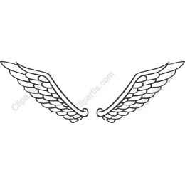 Elegant Wing
