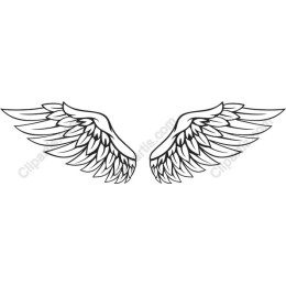 Elegant Angel Wings