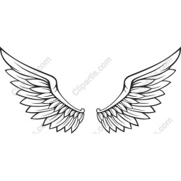 Elegant Angel Wings