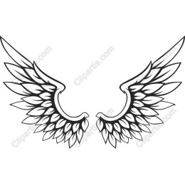 Intricate Wing in Black and White