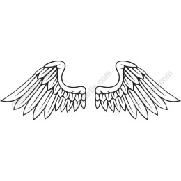 Elegant Angel Wings