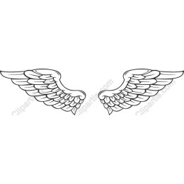 Elegant Angel Wings