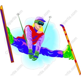 Vibrant Skier