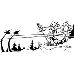 Winter Adventure Skier